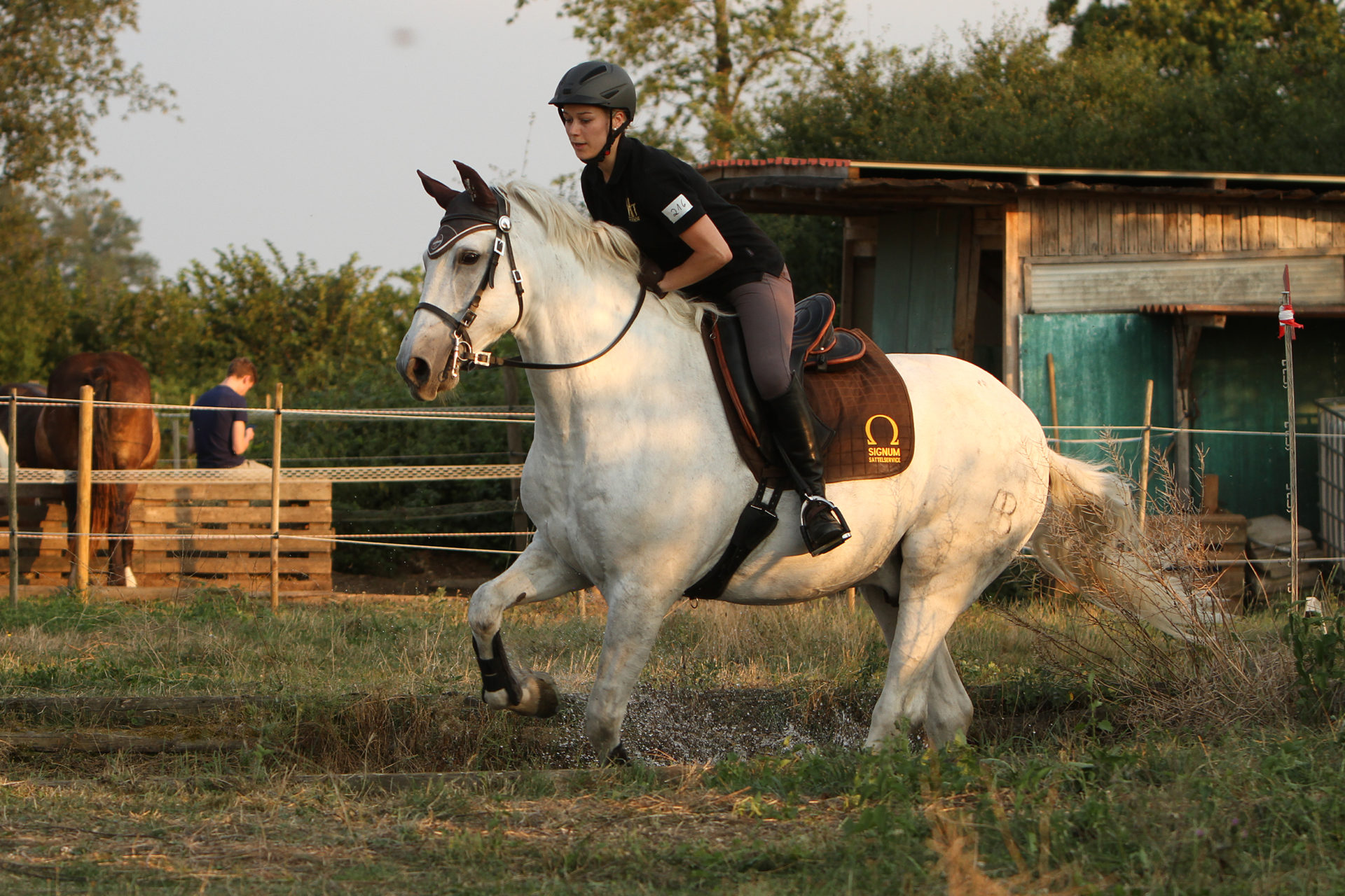 Horses Salto PRO School Light Reitsattel - Leichter Springsattel Mit Wechselkopfbügel
